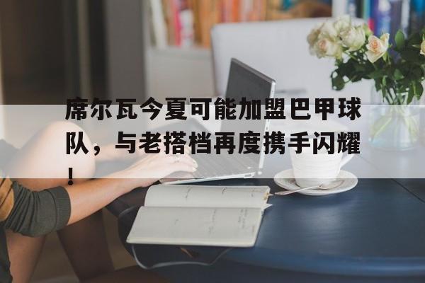 席尔瓦今夏可能加盟巴甲球队，与老搭档再度携手闪耀！