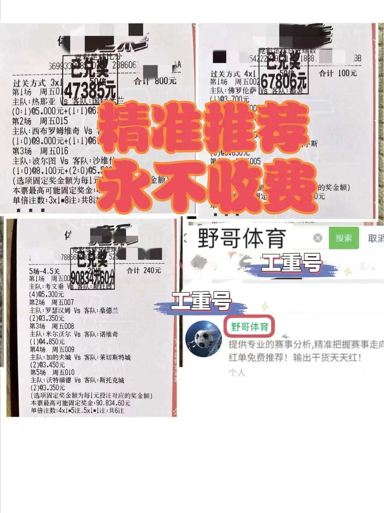 半岛体育-博洛尼亚主场大胜，豪取连胜