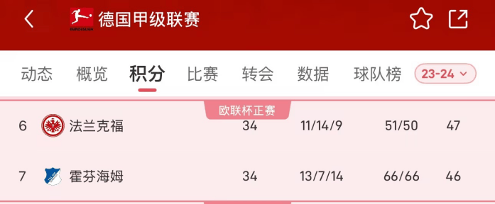 霍芬海姆客场失利，积分下滑